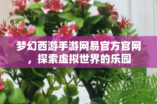 梦幻西游手游网易官方官网，探索虚拟世界的乐园