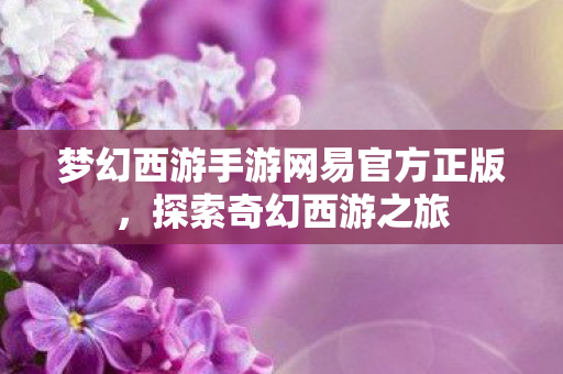 梦幻西游手游网易官方正版，探索奇幻西游之旅