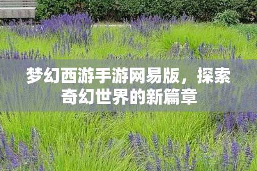 梦幻西游手游网易版,探索奇幻世界的新篇章 梦幻西游手游网易版,探索奇幻世界的新篇章