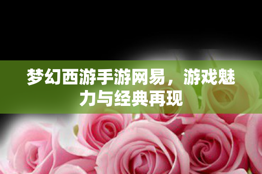 梦幻西游手游网易，游戏魅力与经典再现