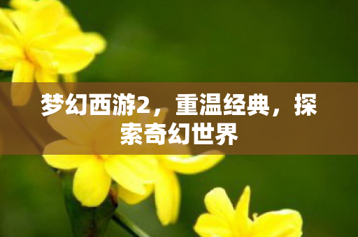 梦幻西游2，重温经典，探索奇幻世界