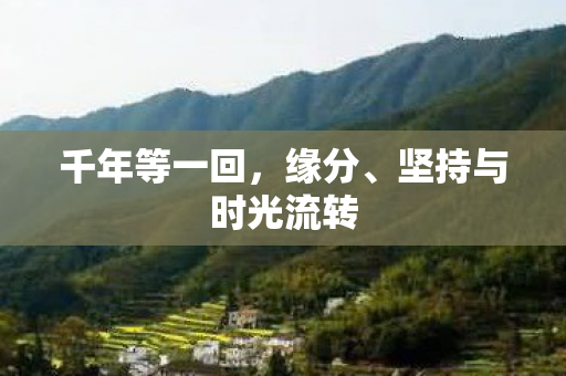 千年等一回，缘分、坚持与时光流转