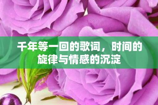 千年等一回的歌词，时间的旋律与情感的沉淀