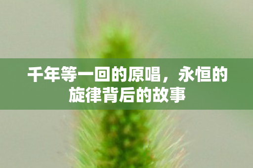 千年等一回的原唱,永恒的旋律背后的故事 千年等一回的原唱,永恒的旋律背后的故事
