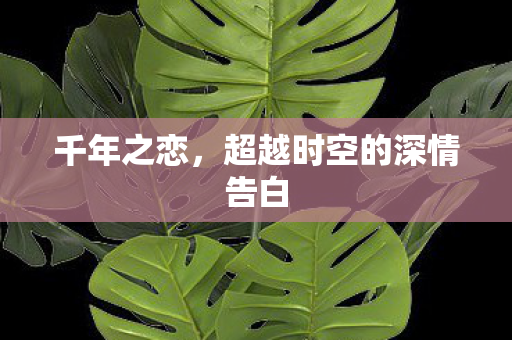 千年之恋，超越时空的深情告白