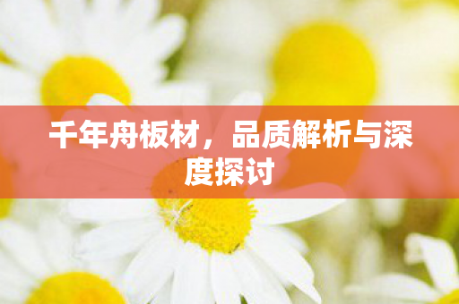 千年舟板材,品质解析与深度探讨 千年舟板材,品质解析与深度探讨