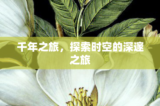 千年之旅，探索时空的深邃之旅