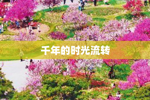 千年的时光流转