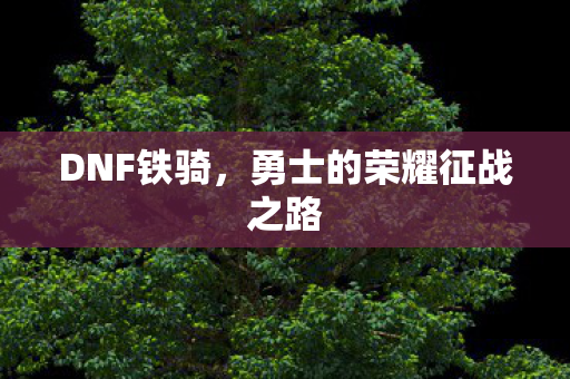 DNF铁骑，勇士的荣耀征战之路