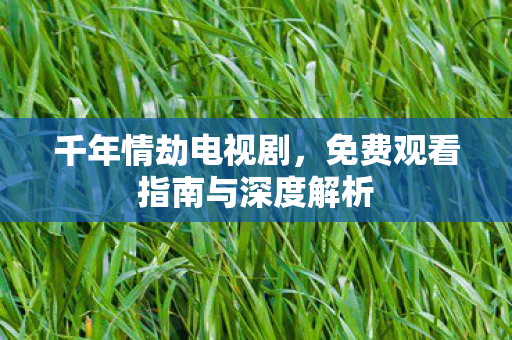 千年情劫电视剧，免费观看指南与深度解析