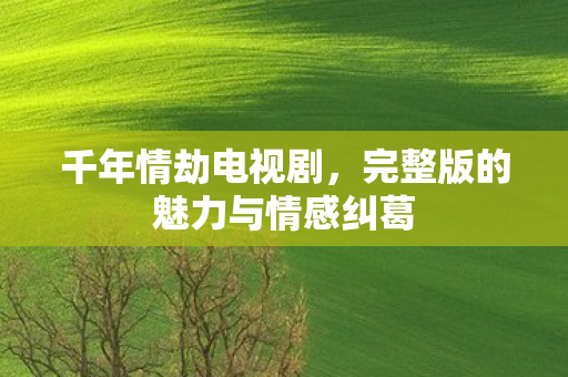 千年情劫电视剧，完整版的魅力与情感纠葛