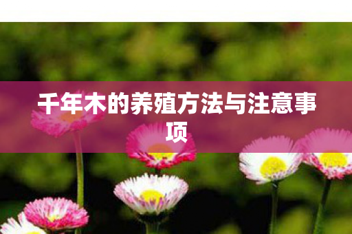 千年木的养殖方法与注意事项