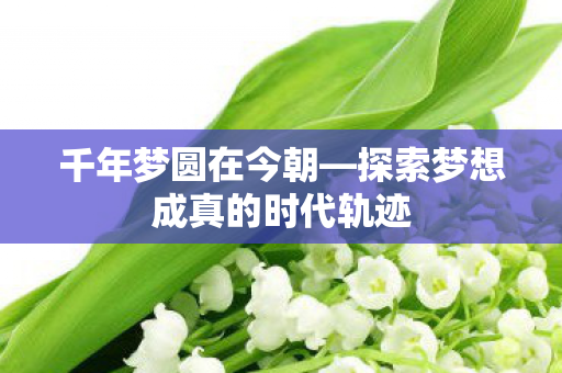 千年梦圆在今朝—探索梦想成真的时代轨迹