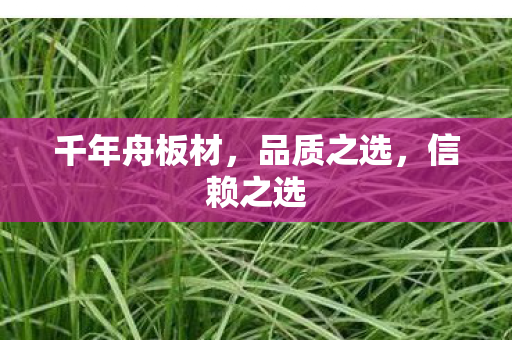 千年舟板材，品质之选，信赖之选