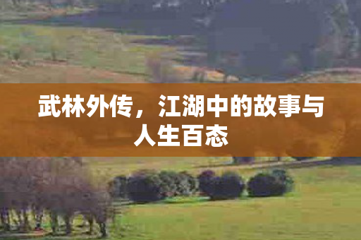 武林外传，江湖中的故事与人生百态