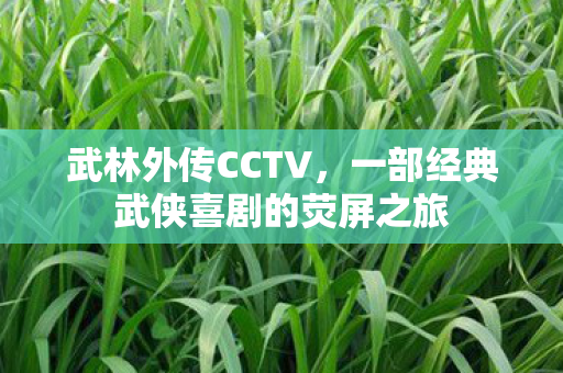 武林外传CCTV,一部经典武侠喜剧的荧屏之旅 武林外传CCTV,一部经典武侠喜剧的荧屏之旅