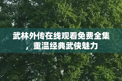 武林外传在线观看免费全集，重温经典武侠魅力