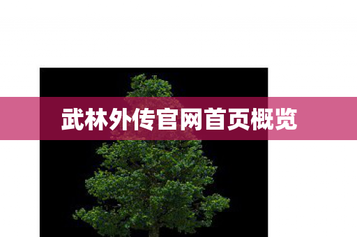 武林外传官网首页概览