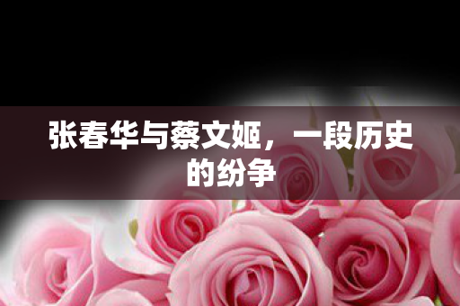 张春华与蔡文姬，一段历史的纷争