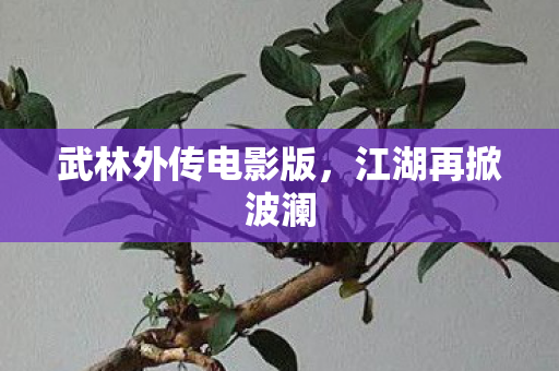 武林外传电影版，江湖再掀波澜