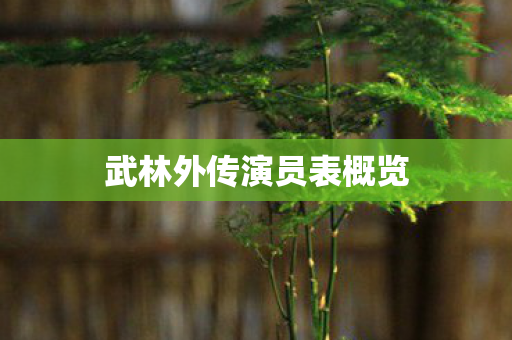 武林外传演员表概览