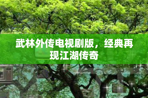 武林外传电视剧版，经典再现江湖传奇