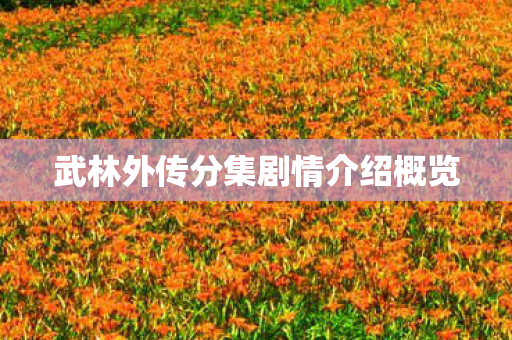武林外传分集剧情介绍概览