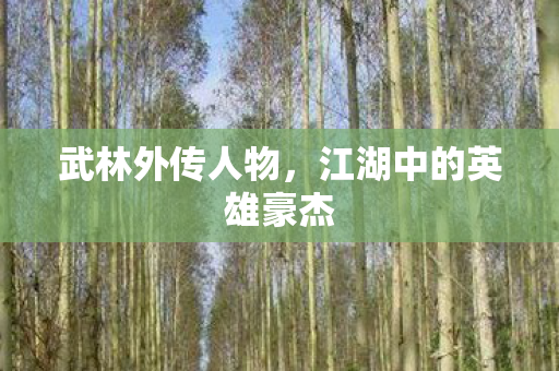 武林外传人物，江湖中的英雄豪杰