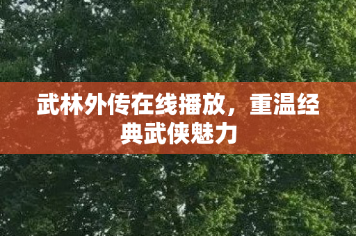 武林外传在线播放，重温经典武侠魅力
