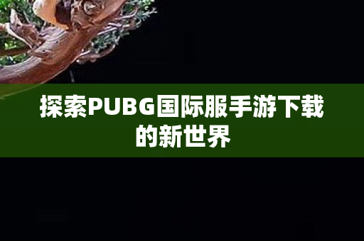 探索PUBG国际服手游下载的新世界