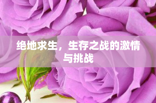 绝地求生，生存之战的激情与挑战