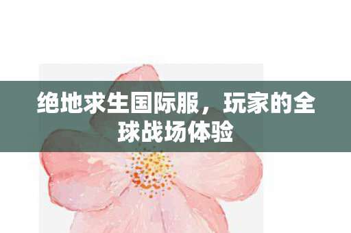 绝地求生国际服,玩家的全球战场体验 绝地求生国际服,玩家的全球战场体验