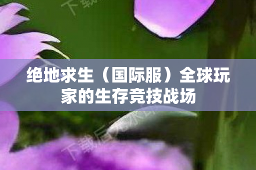 绝地求生（国际服）全球玩家的生存竞技战场