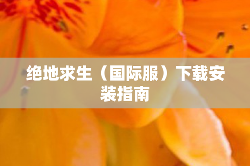 绝地求生（国际服）下载安装指南