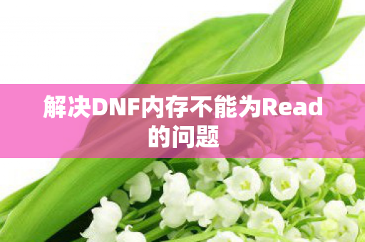 解决DNF内存不能为Read的问题
