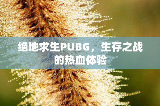 绝地求生PUBG，生存之战的热血体验