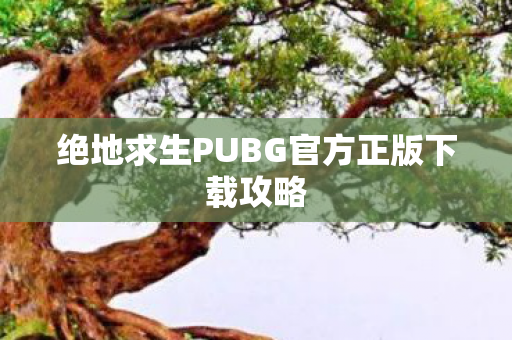 绝地求生PUBG官方正版下载攻略
