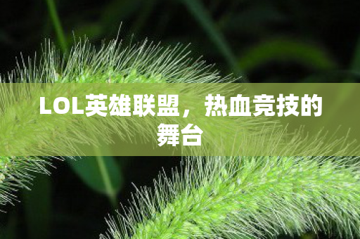 LOL英雄联盟，热血竞技的舞台