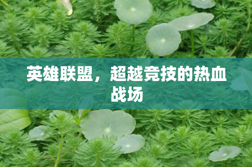 英雄联盟，超越竞技的热血战场