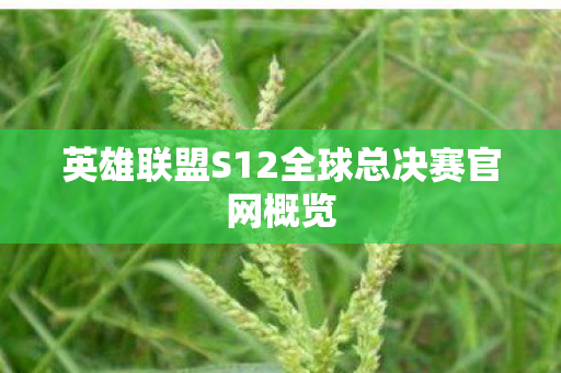 英雄联盟S12全球总决赛官网概览 英雄联盟S12全球总决赛官网概览
