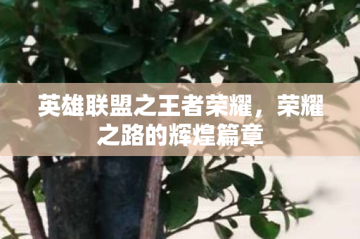 英雄联盟之王者荣耀，荣耀之路的辉煌篇章