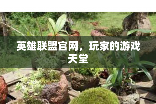 英雄联盟官网,玩家的游戏天堂 英雄联盟官网,玩家的游戏天堂