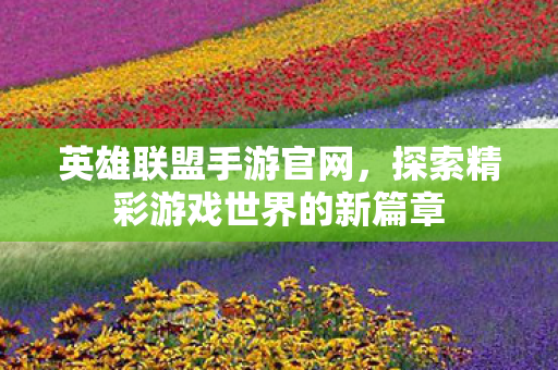 英雄联盟手游官网，探索精彩游戏世界的新篇章