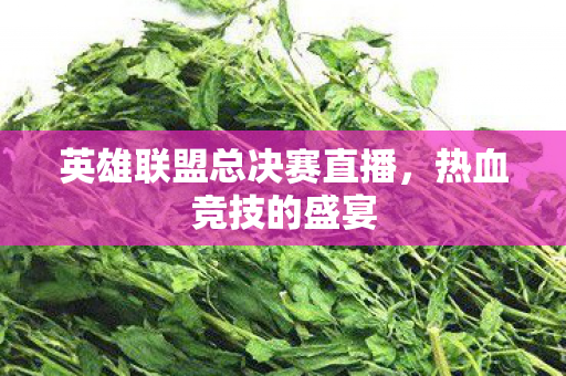 英雄联盟总决赛直播，热血竞技的盛宴