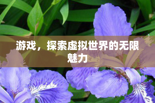 游戏，探索虚拟世界的无限魅力