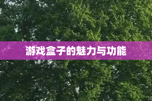 游戏盒子的魅力与功能 游戏盒子的魅力与功能