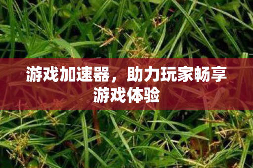 游戏加速器,助力玩家畅享游戏体验 游戏加速器,助力玩家畅享游戏体验