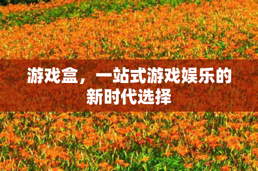 游戏盒，一站式游戏娱乐的新时代选择
