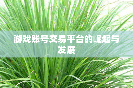 游戏账号交易平台的崛起与发展