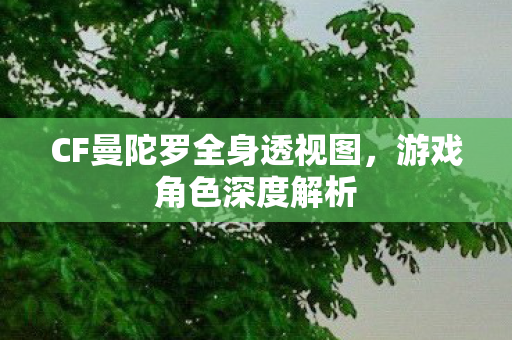 CF曼陀罗全身透视图，游戏角色深度解析